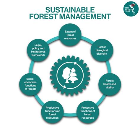Forest Management .